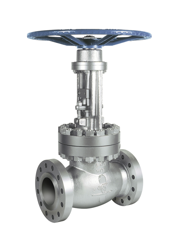 DSI-gate-valve